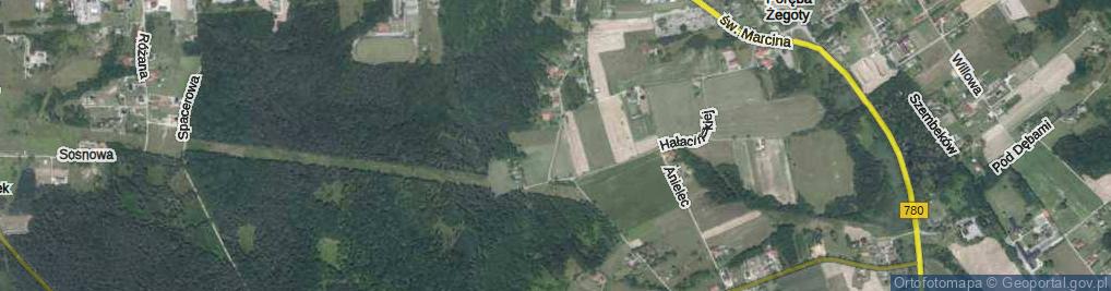 Zdjęcie satelitarne Leśna ul.